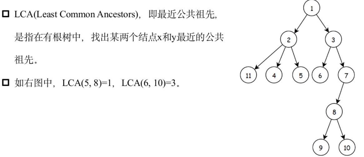 image-20240526105959804
